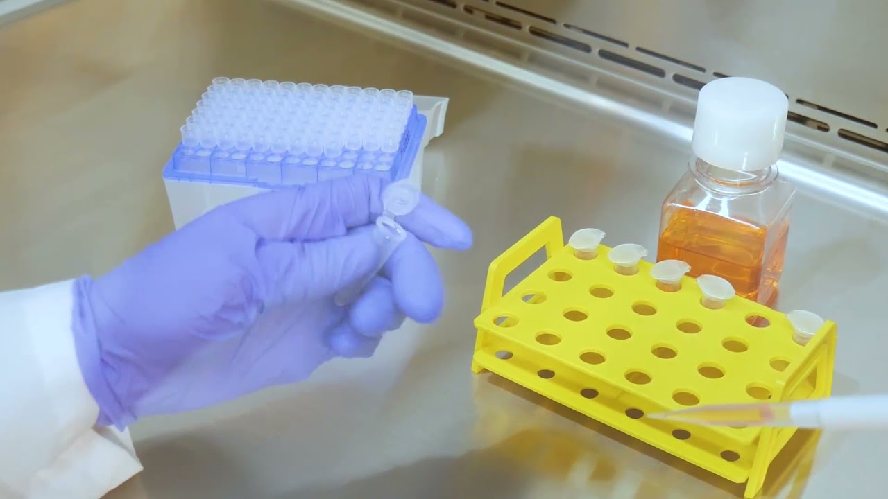 How to Safely Operate Your Biosafety Cabinet — Labconco